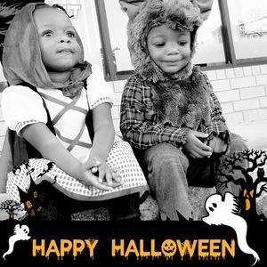 Meet your Posher, Will